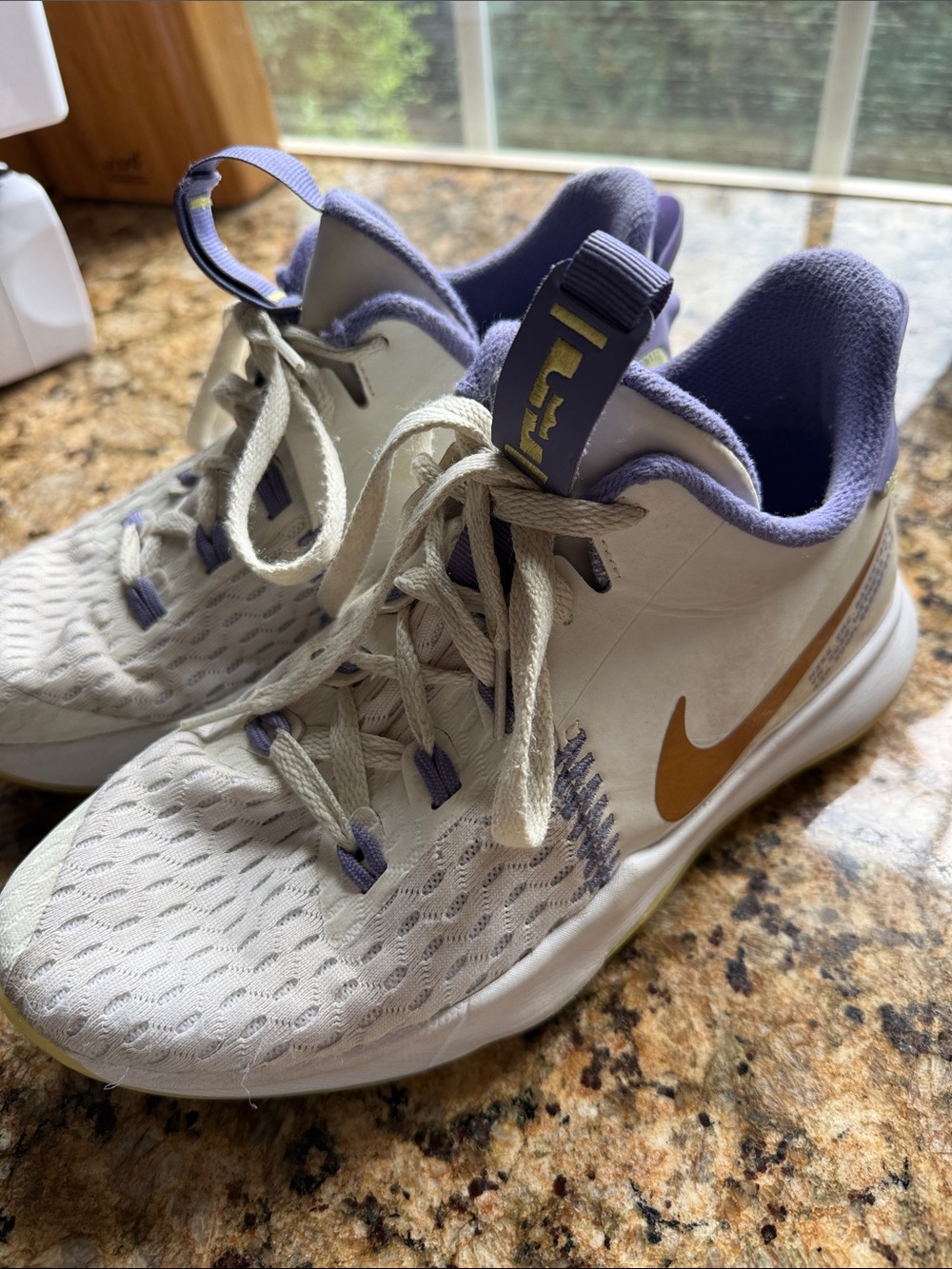 Nike Lebron White Sneakers with Lavender Lining and Gold Swoosh